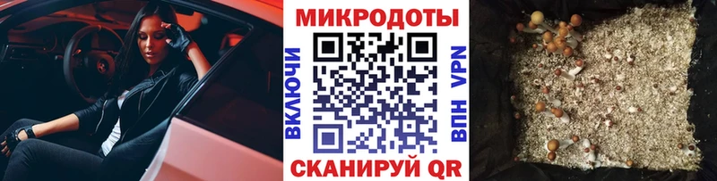 дарнет шоп  Коломна  Псилоцибиновые грибы мухоморы 