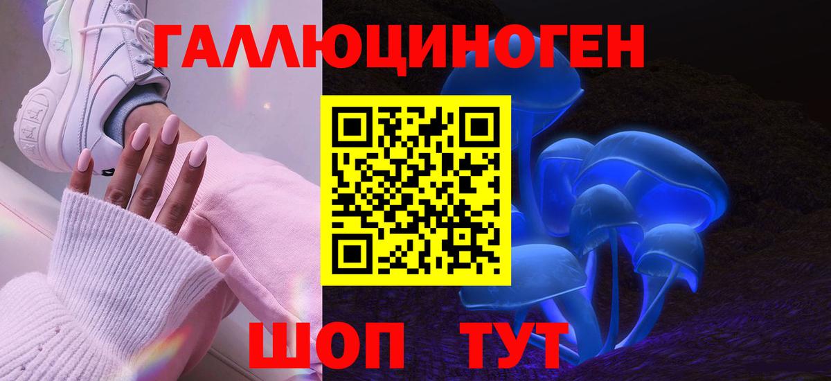 Галлюциногенные грибы Psilocybine cubensis Коломна